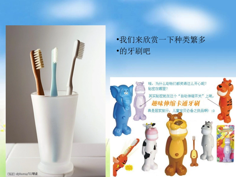 我的牙刷PPT_第3页
