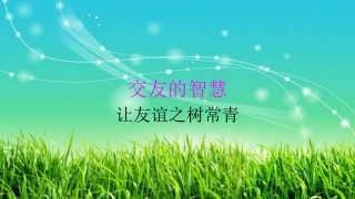 51让友谊之树常青