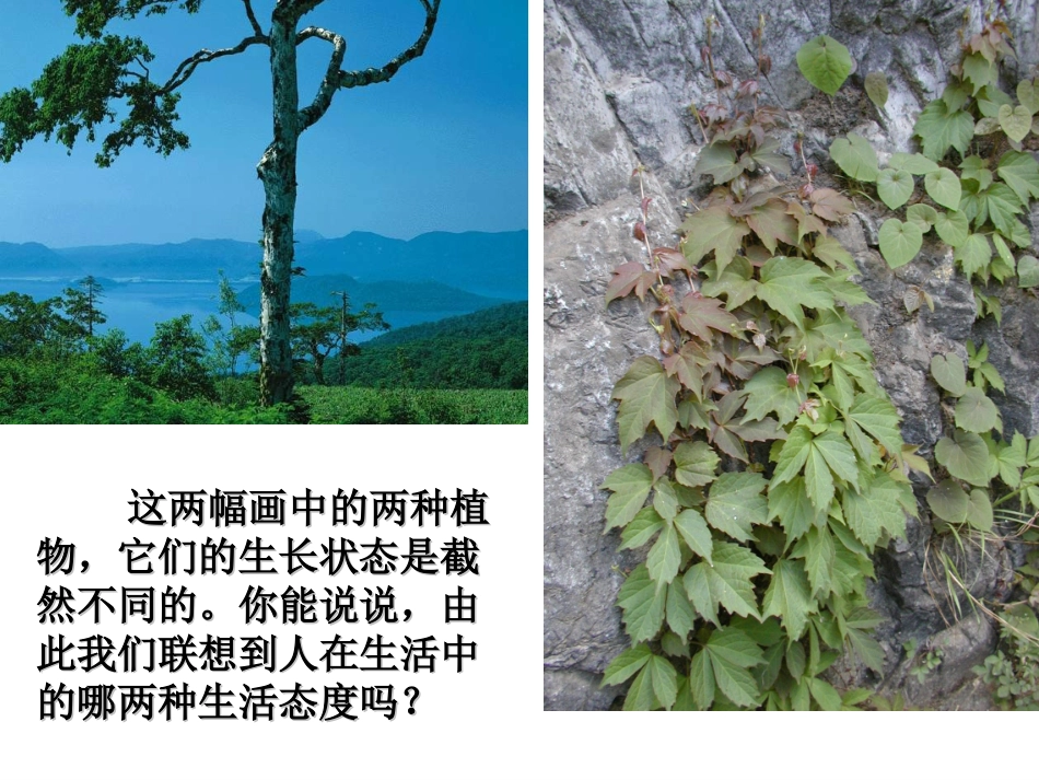 63自立自强_第3页