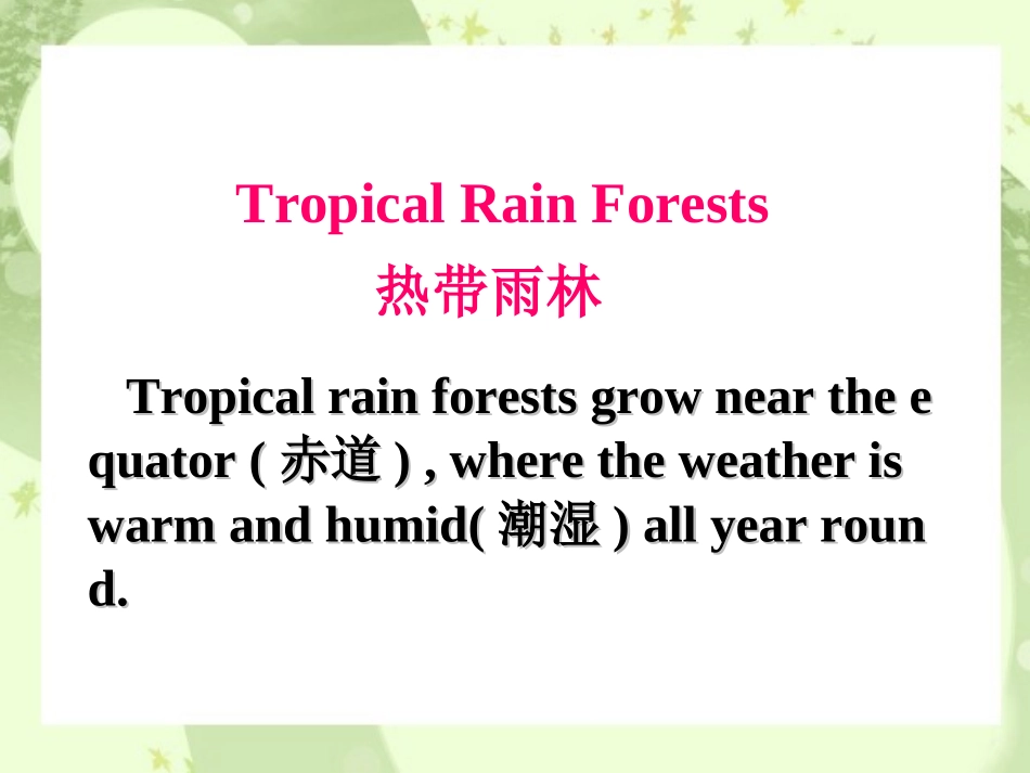热带雨林资料_第2页