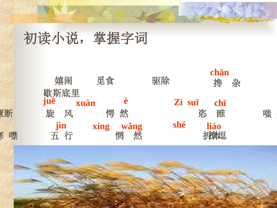 孤独之旅 (2)_第3页