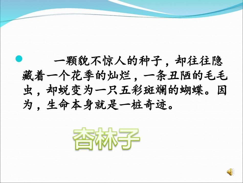 课件：生命生命_第3页