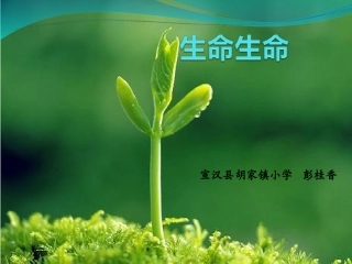 课件：生命生命