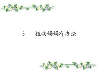 3植物妈妈有办法___优秀课件 (3)