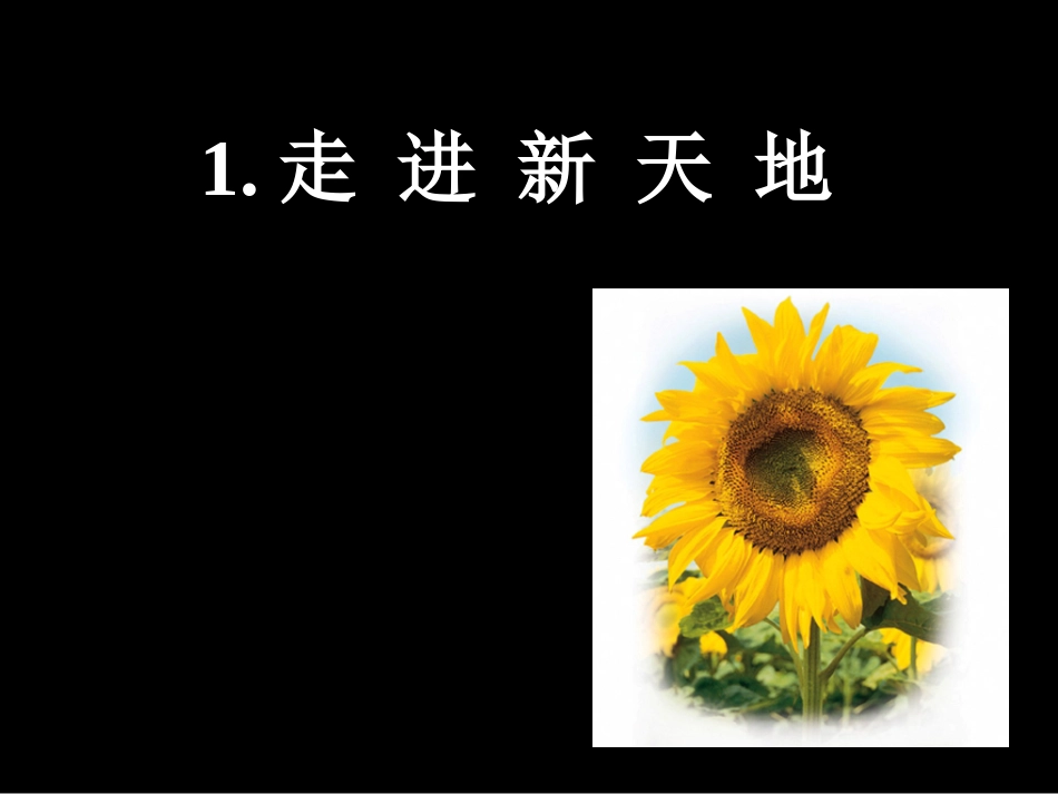 1走进新天地课件_第2页