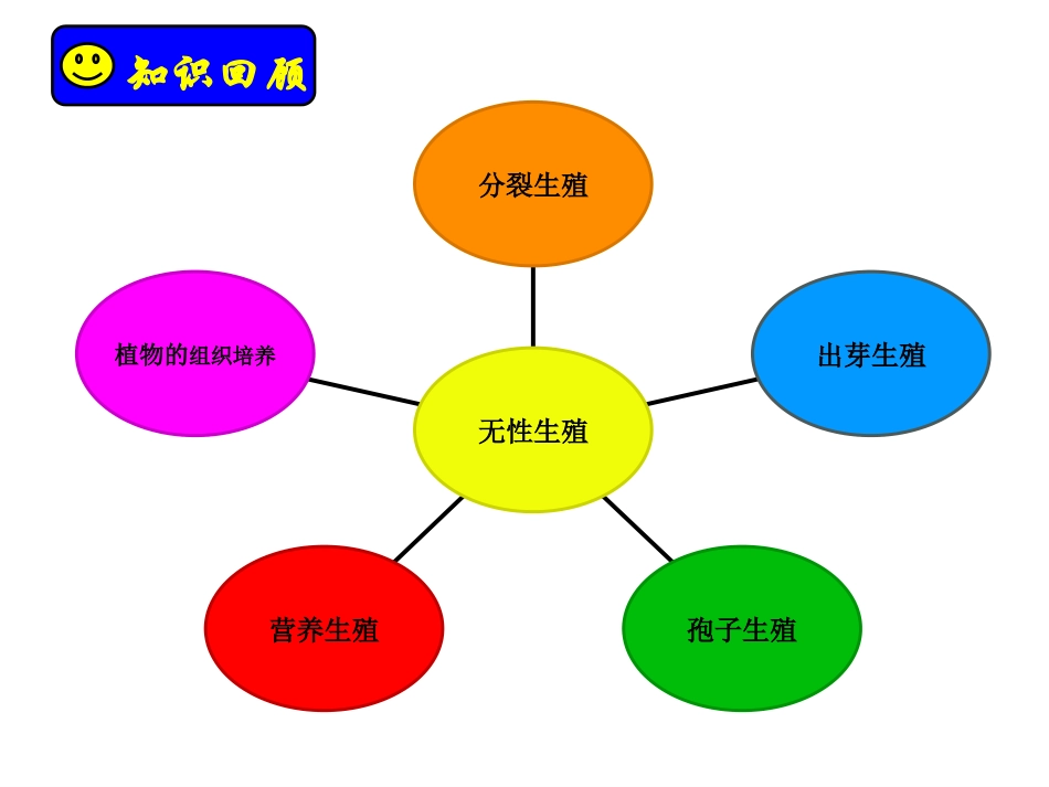 第七单元第一章复习课_第2页