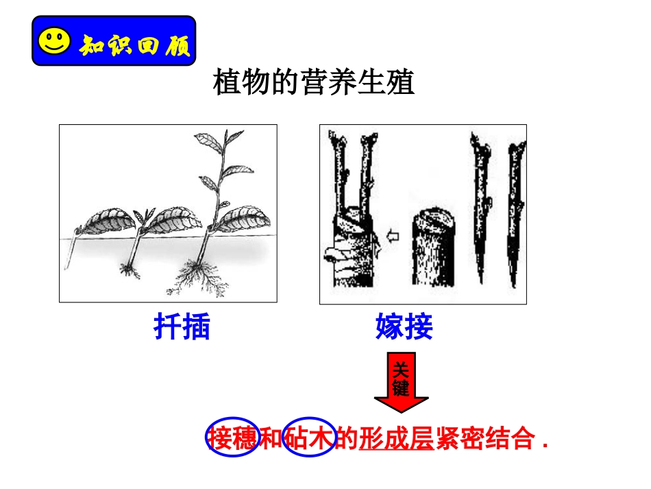第七单元第一章复习课_第3页