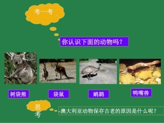 第四节澳大利亚