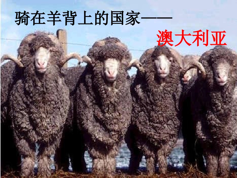 草原风情8好_第2页