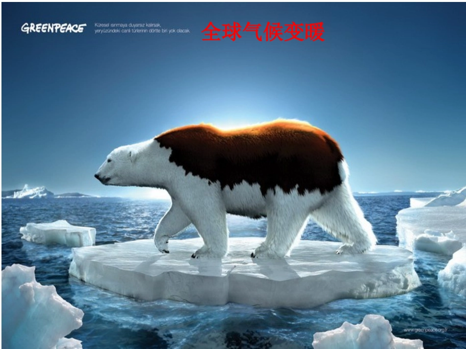 第四讲气候类型的判读_第2页