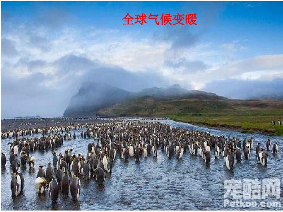 第四讲气候类型的判读_第3页