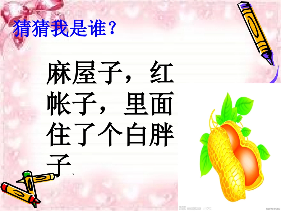 落花生演示文稿_第2页