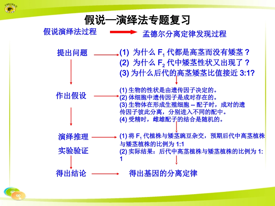 假说—演绎法_第3页