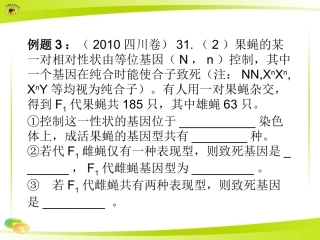 假说—演绎法