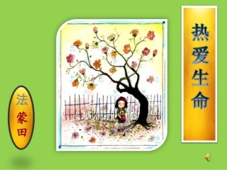 热_爱_生_命