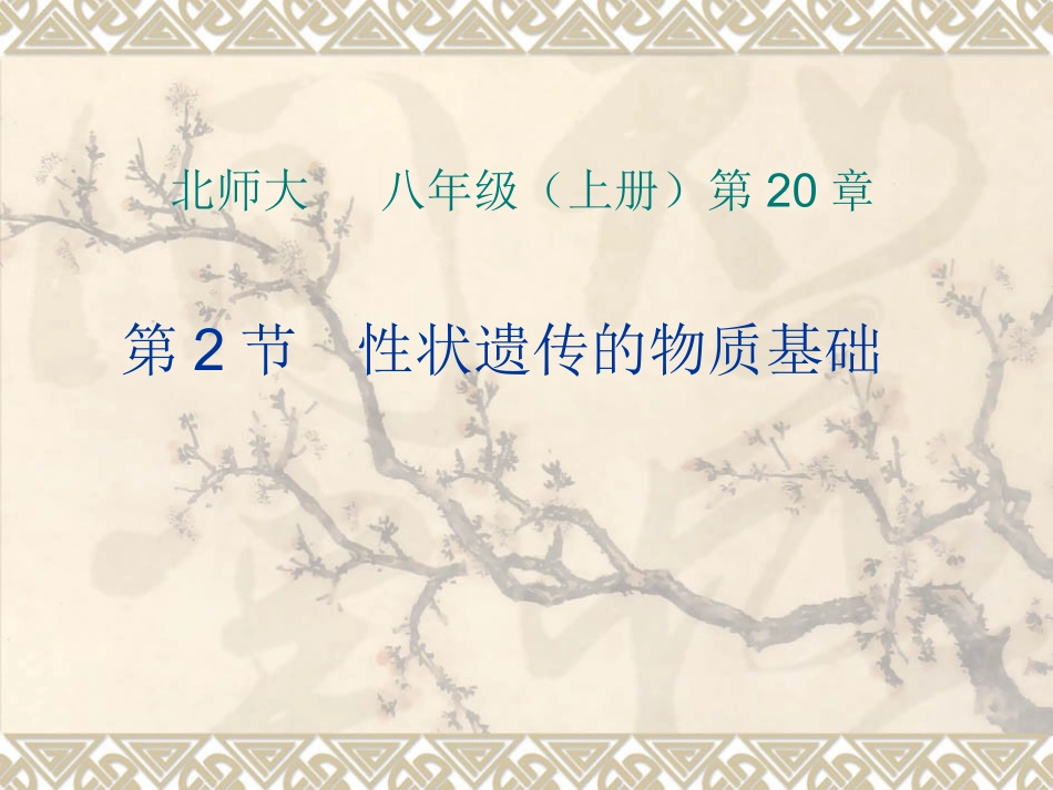 2、-性状遗传的物质基础_第1页