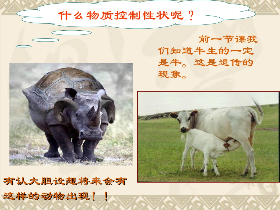 2、-性状遗传的物质基础_第2页