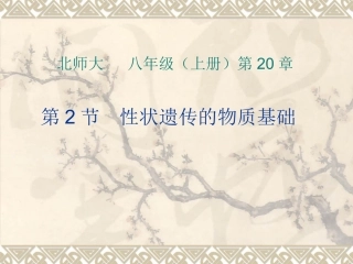 2、-性状遗传的物质基础