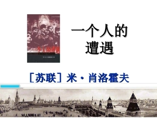 一个人的遭遇