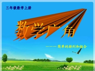 数学广角课件