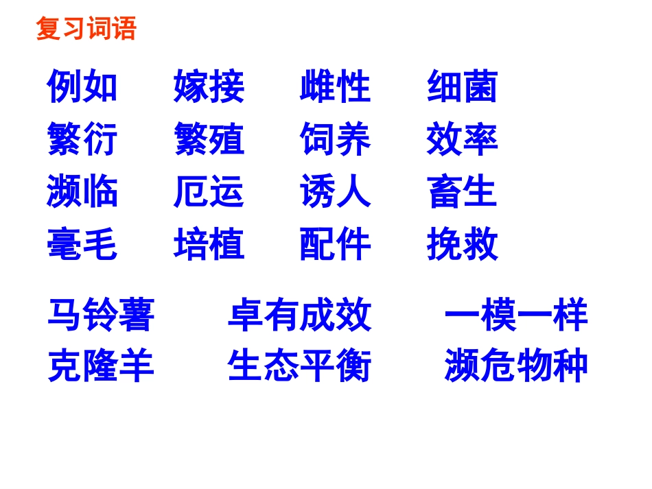 8、神奇的克隆第二课时_第2页