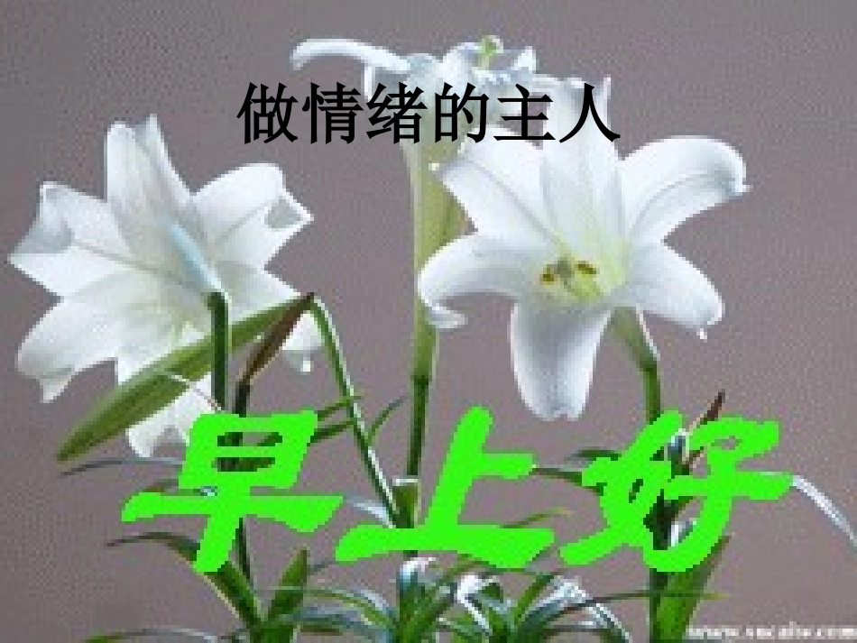 做情绪的主人_第2页