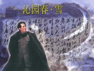 沁园春雪 (3)