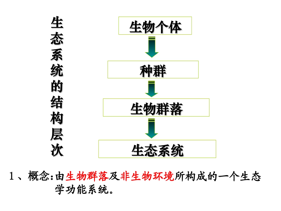 61生态系统的成分与营养结构课件_第2页