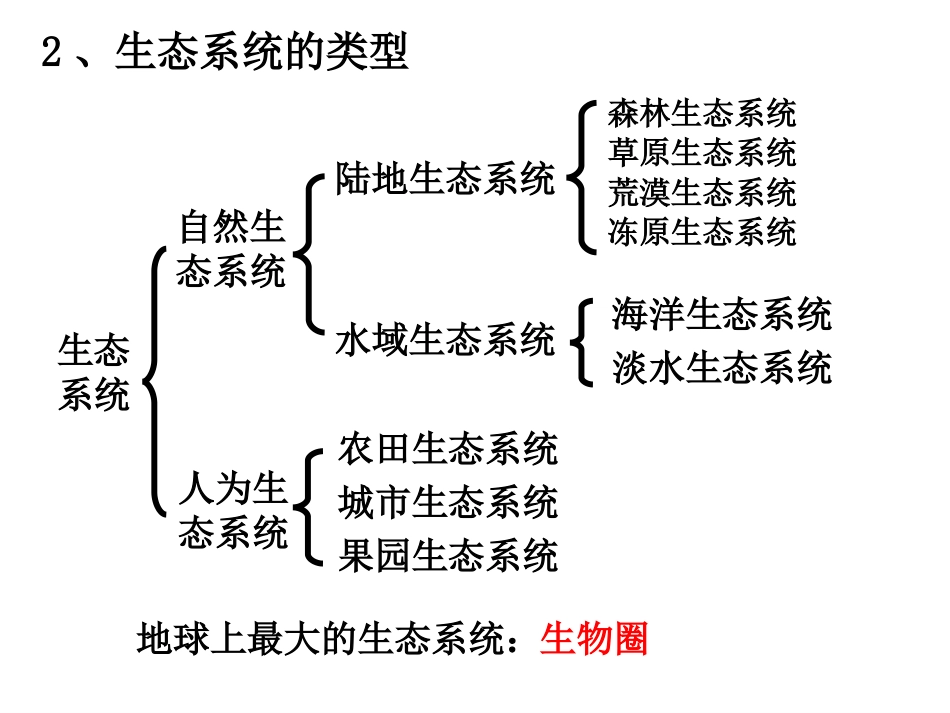 61生态系统的成分与营养结构课件_第3页