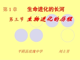 生命进化的历程