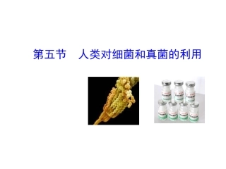 第五节人类对细菌和真菌的利用