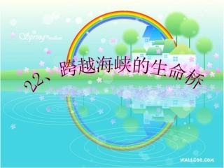 22_跨越海峡的生命桥 (3)
