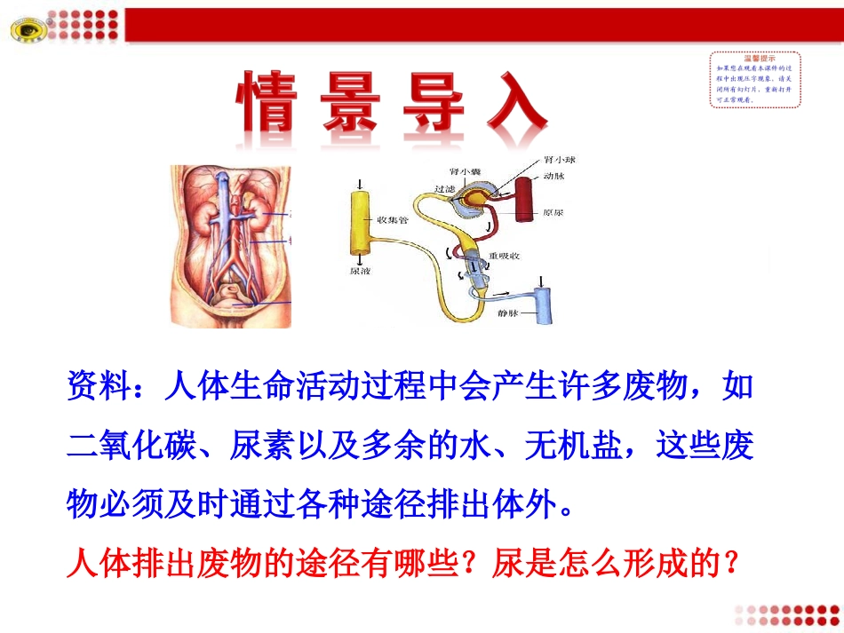 第五章人体内废物的排出 (2)_第2页