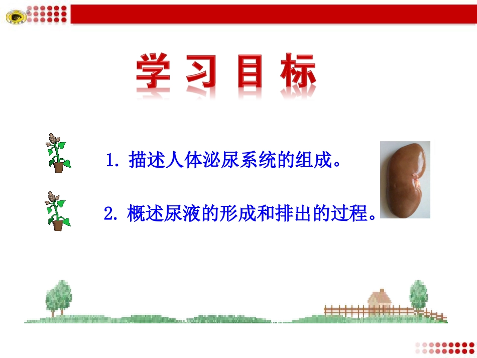 第五章人体内废物的排出 (2)_第3页