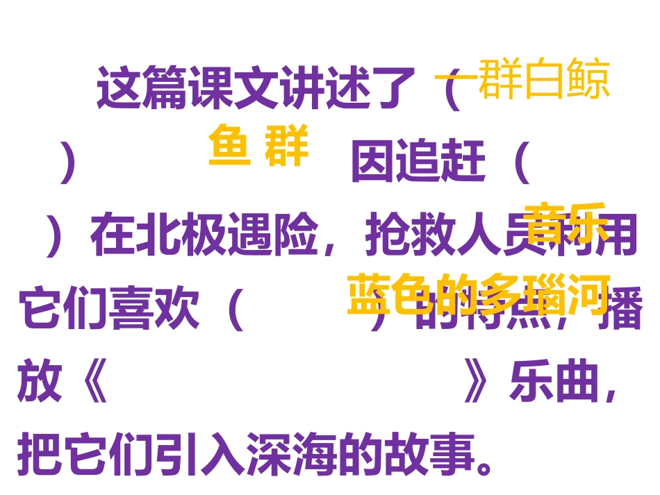 喜爱音乐的白鲸_第3页