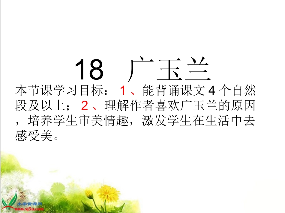 18《广玉兰》PPT课件(苏教版六年级语文下册课件)[1] (2)_第2页