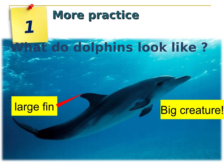 u3mp演示文稿1_第3页