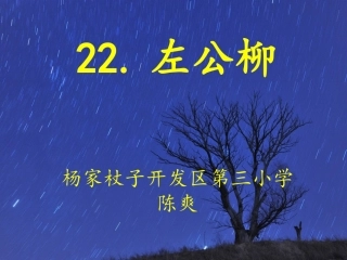 22、左公柳课件