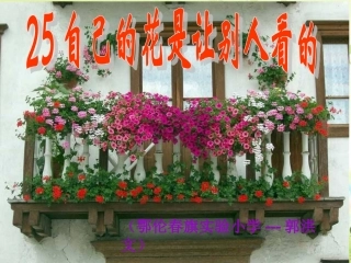 60、-25自己的花是让别人看的