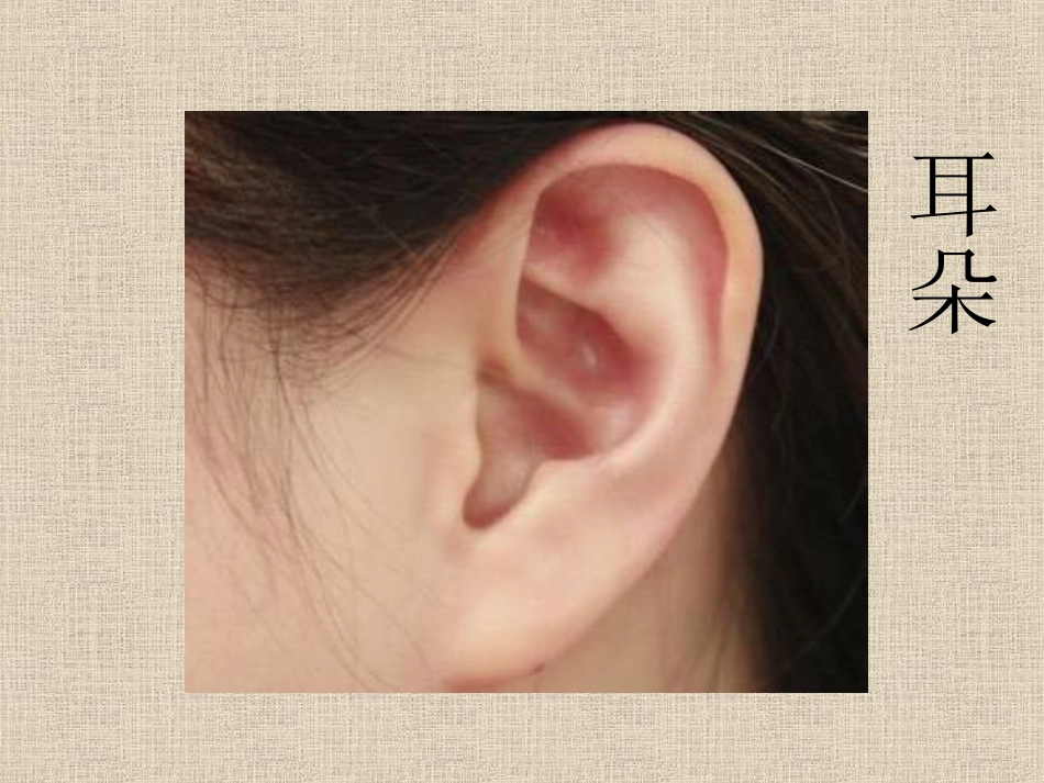 我的身体真奇妙_第1页