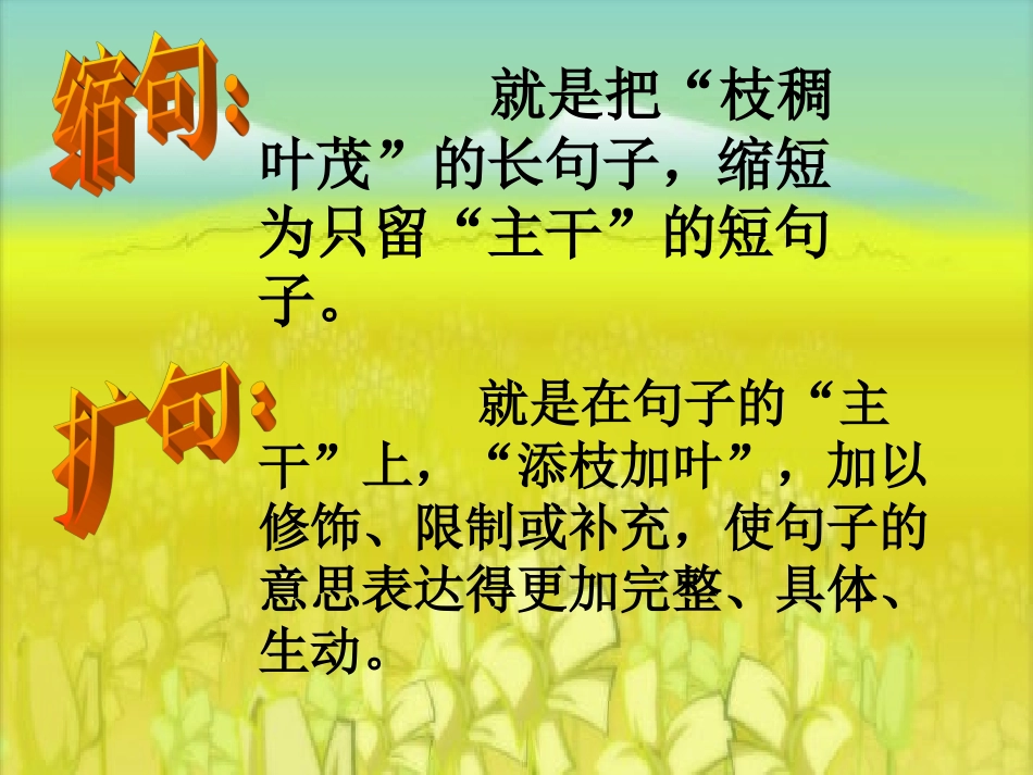 复习扩句缩句_第3页
