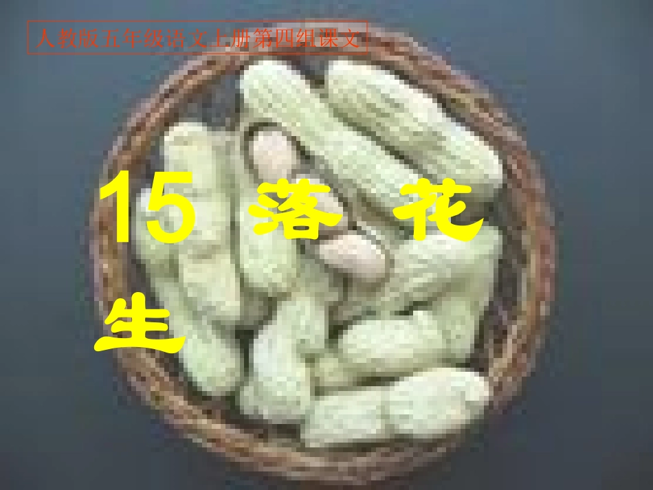 落花生PPT课件_第1页