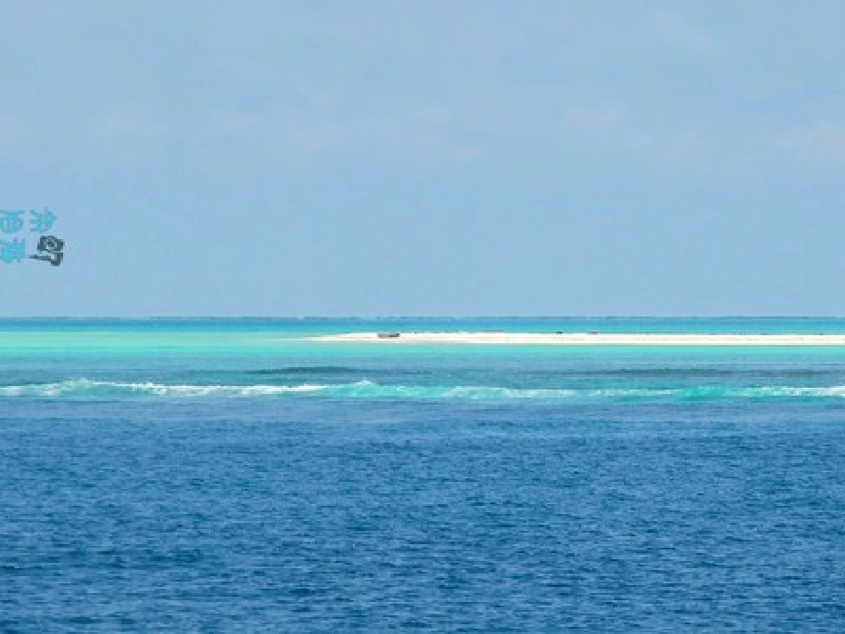 22富饶的西沙群岛_第3页