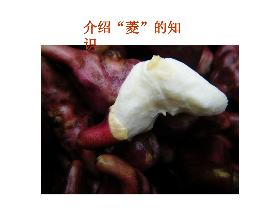 《采菱》课件_第3页