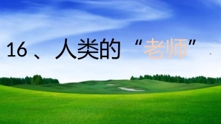人类的“老师”