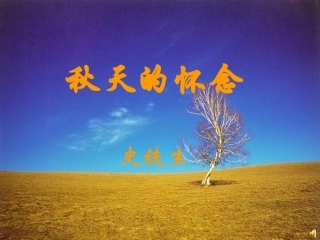 秋天的怀念课件