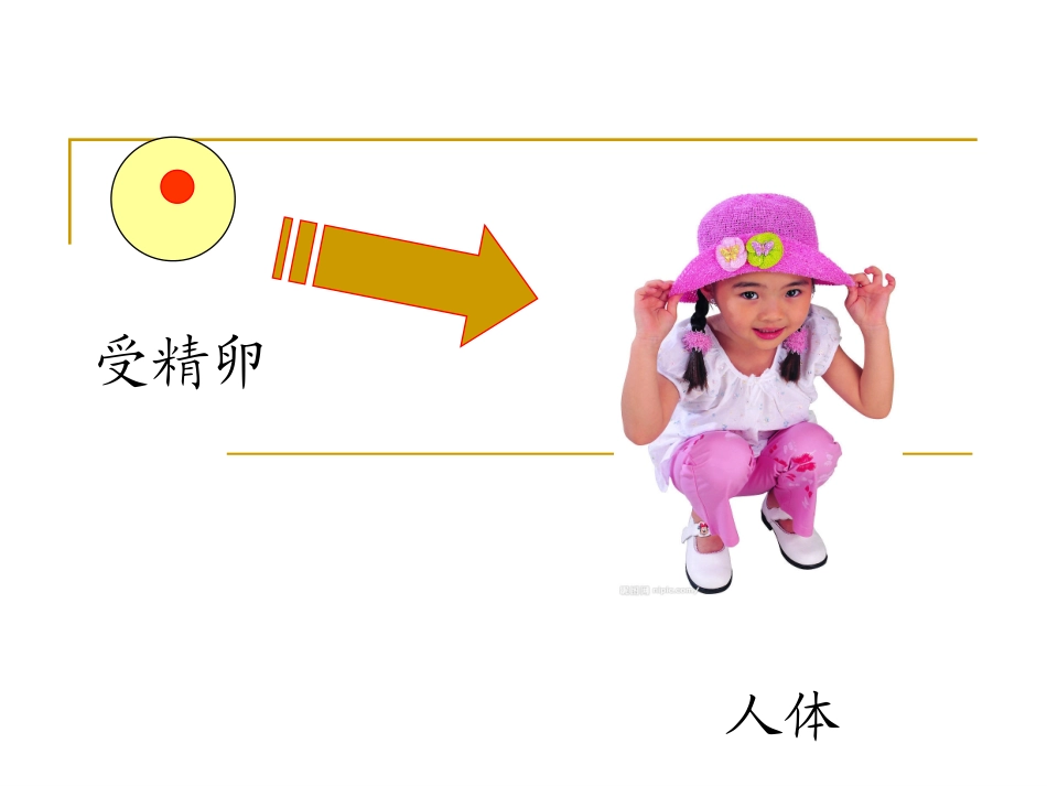 第二节动物的结构层次_第2页