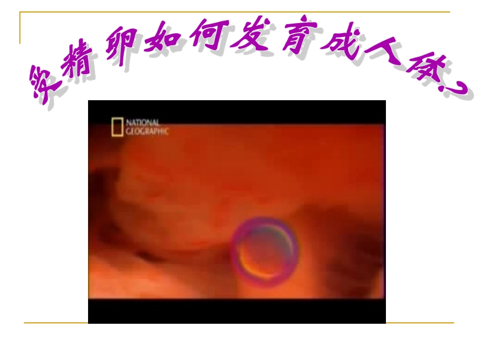 第二节动物的结构层次_第3页