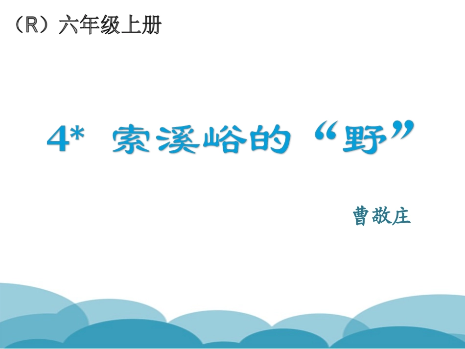 4索溪峪的“野”_第1页