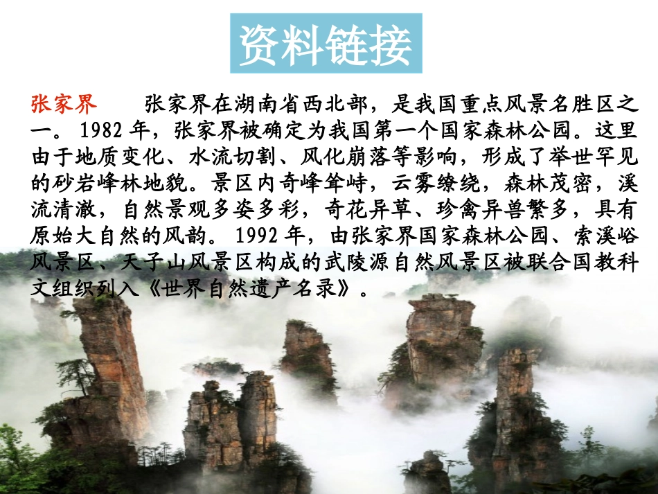 4索溪峪的“野”_第3页